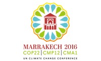 Kech cop 22
